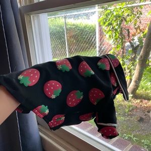 Dog/Cat Strawberry Shirt Size XS